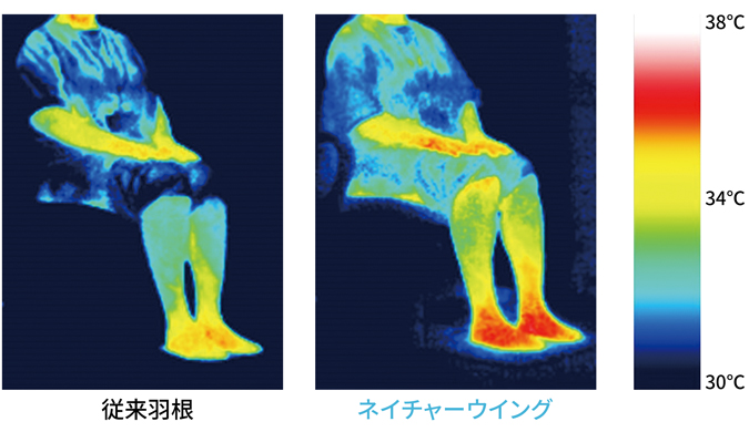 サーモグラフィーによる被験者の体表面温度変化の測定結果例
