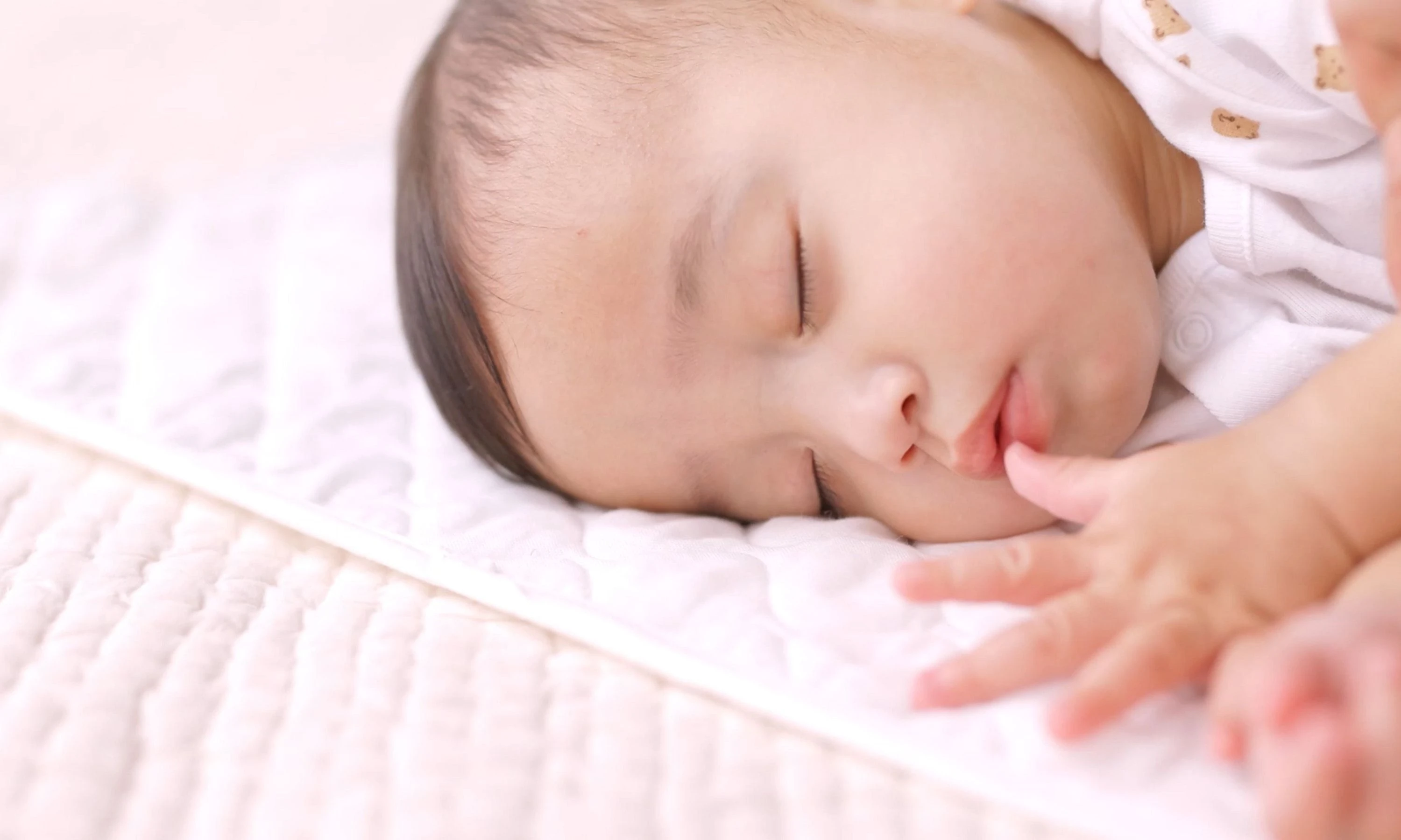 新年度!!SHARP RACTIVE Air (保証28年1月まで) Vシリーズ | エアコン