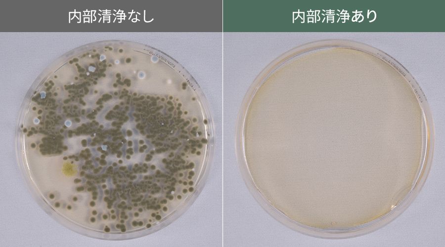 内部清浄ありと内部清浄なしの黒カビ比較写真