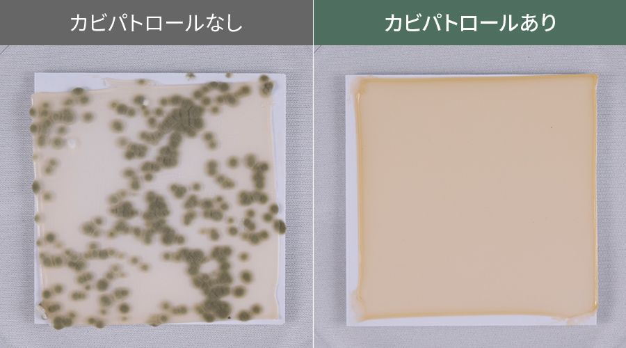 パトロールありとパトロールなしの黒カビ比較写真