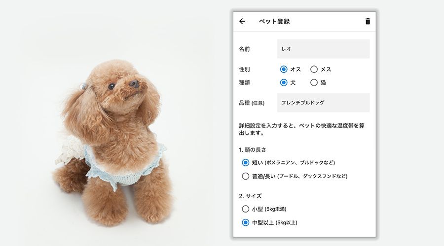 アプリからペットの情報を登録しているイメージ