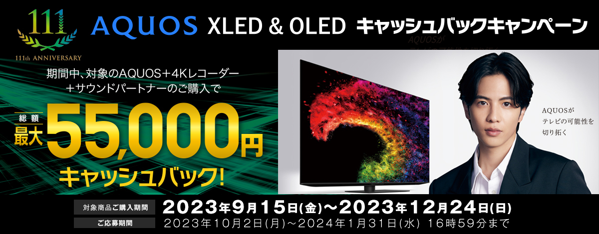 液晶テレビ / 有機ELテレビ  アクオス：シャープ