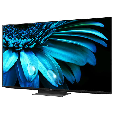 日本人気商品 SHARP AQUOS4Ｋテレビ - テレビ・映像機器