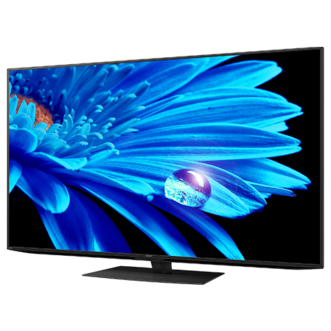 ピンク・ブルー シャープ42型液晶4Kテレビ （SHARP 4T-C42DH1 BLACK