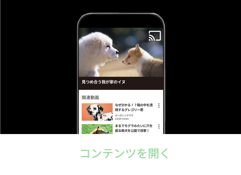 コンテンツを開く