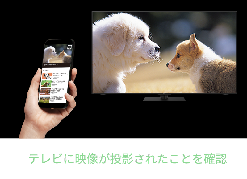 テレビに映像が投影されたことを確認