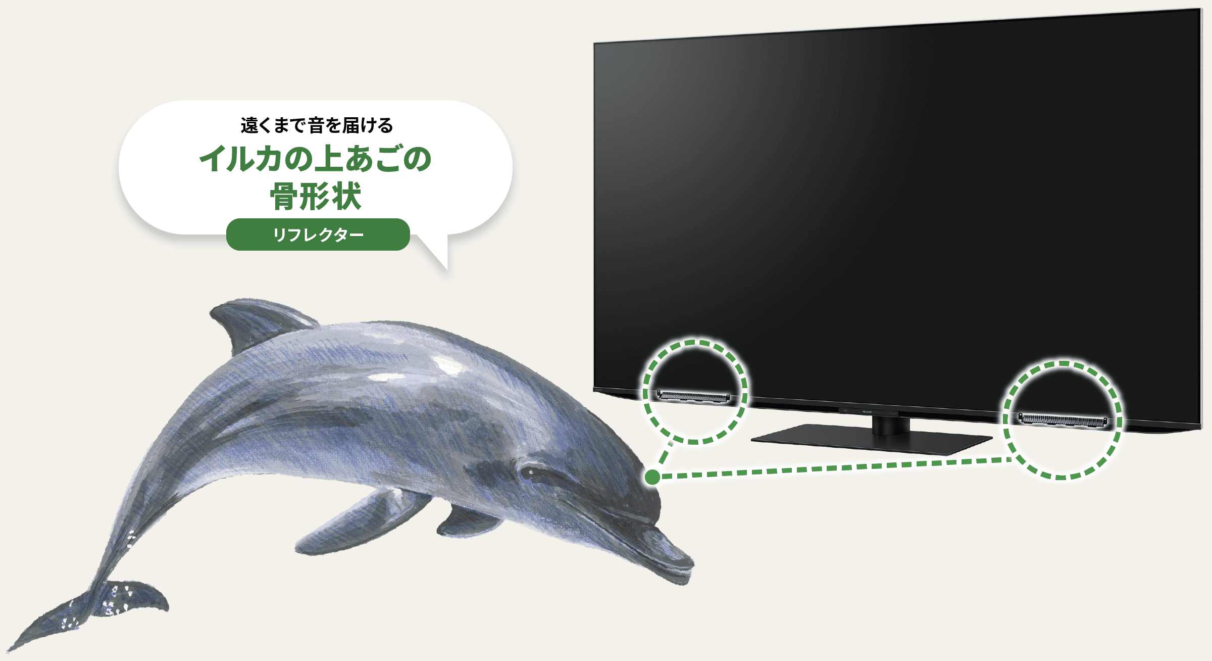 リフレクターには遠くまで音を届けるイルカの上あごの骨形状を応用
