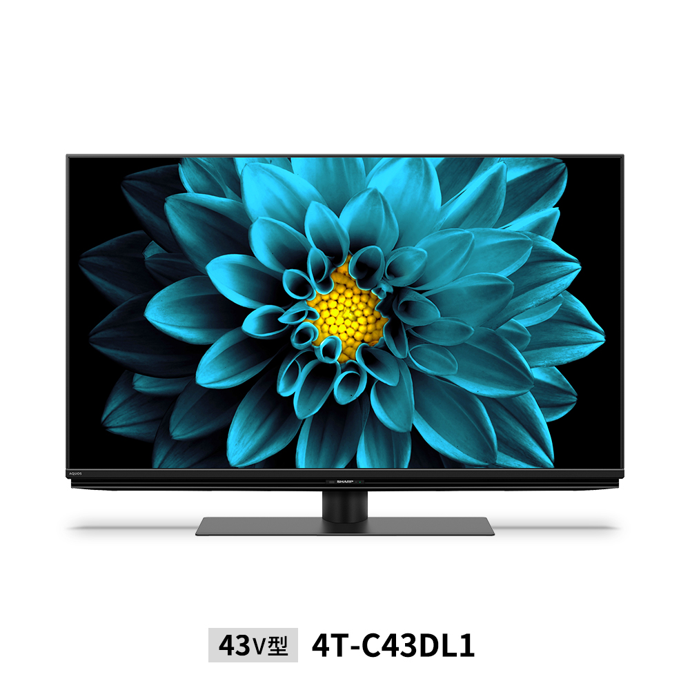 液晶テレビ AQUOS 4K 4T-C65DL1 [65インチ]-