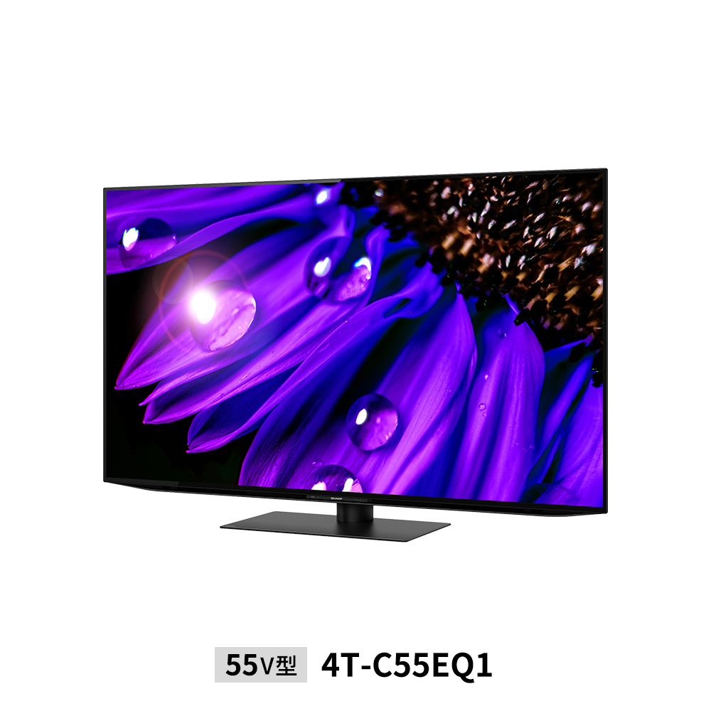 シャープAQUOS有機ELテレビ55v型4T-C55DQ1 - 液晶テレビ