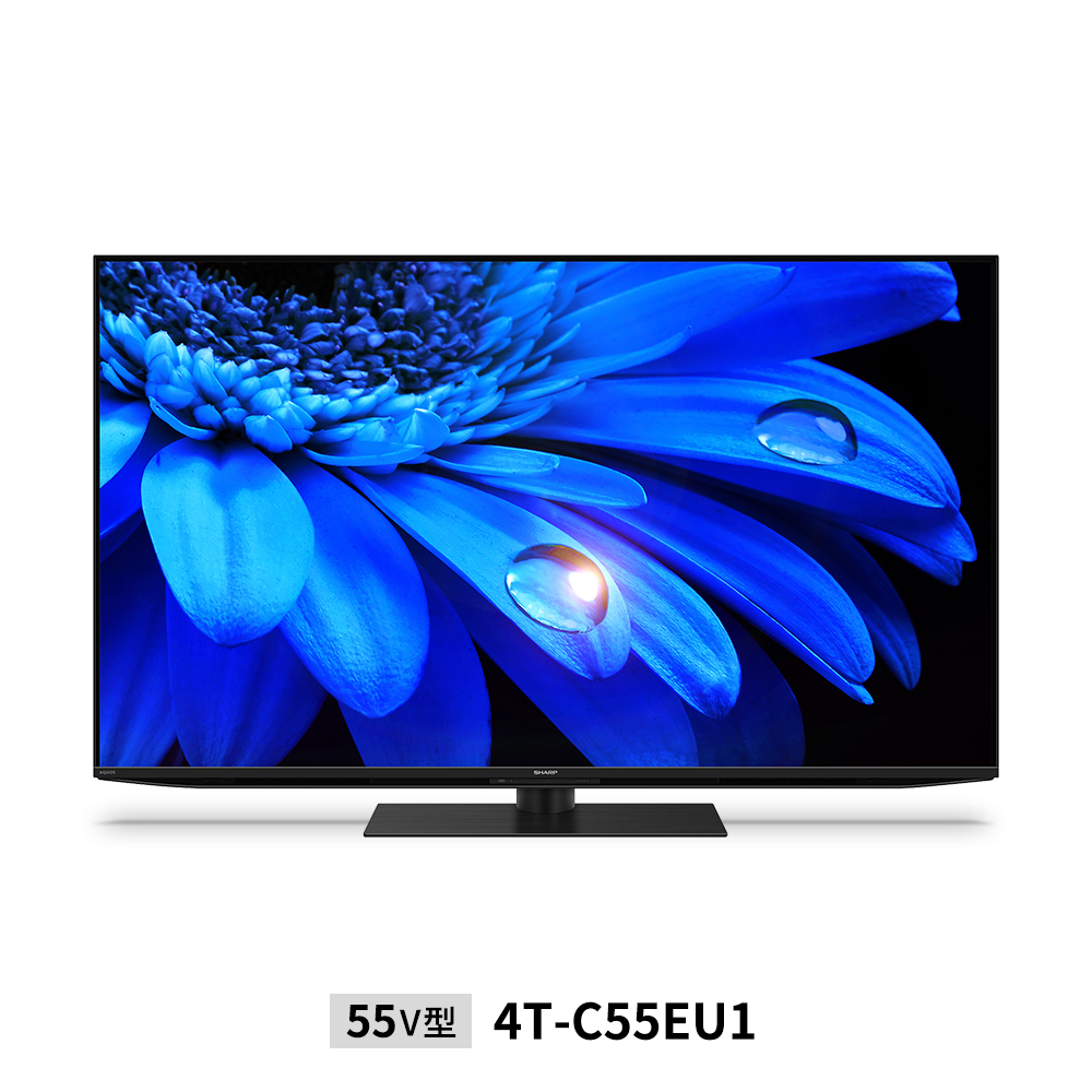 SHARP AQUOS 55V型 4K液晶テレビ - coastalcareeracademy.com