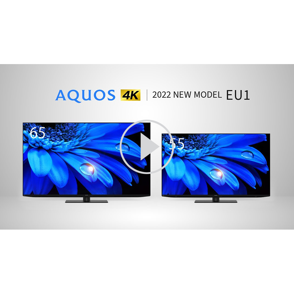 SHARP AQUOS A AL1 4T-C45AL1 - テレビ