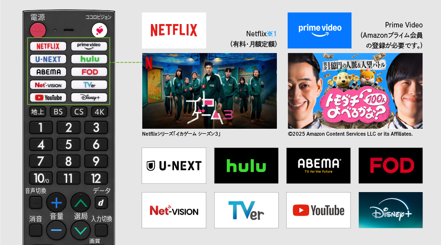 ワンボタンでインターネット動画が楽しめる、アプリダイレクトボタン