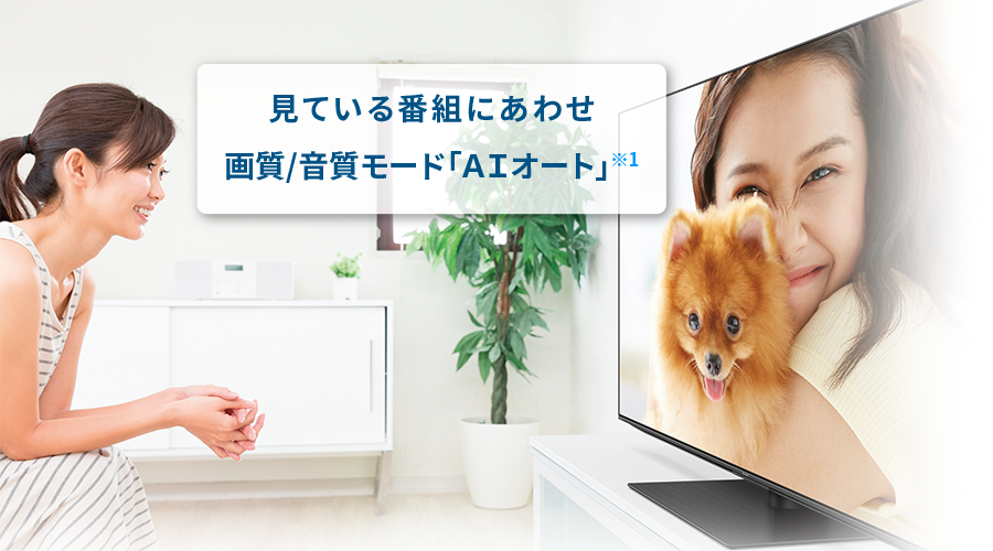 AIオート イメージ