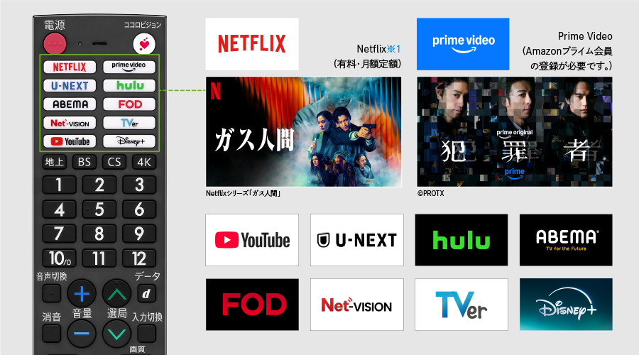 ワンボタンでインターネット動画が楽しめる、アプリダイレクトボタン