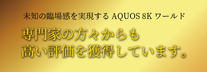 未知の臨場感を実現するAQUOS 8Kワールド専門家の方々からも高い評価を獲得しています。