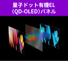 量子ドット有機EL（QD-OLED）パネル