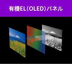 有機EL（OLED）パネル