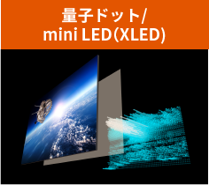 量子ドット/mini LED（XLED)