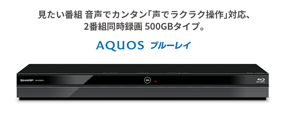 見たい番組 音声でカンタン「声でラクラク操作」対応、2番組同時録画 500GBタイプ。