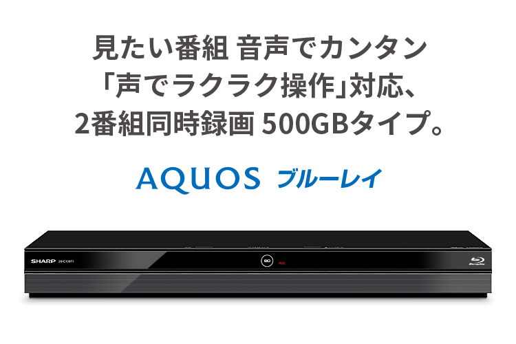 シャープ ブルーレイレコーダー 500GB 1チューナー BD-NS520-