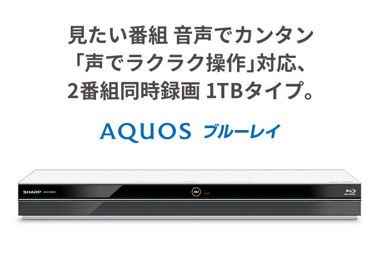 見たい番組 音声でカンタン「声でラクラク操作」対応、2番組同時録画 1TBタイプ。