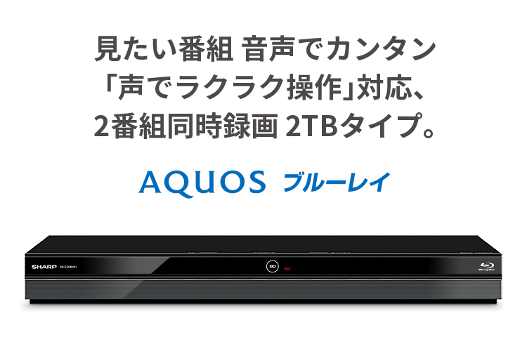 見たい番組 音声でカンタン「声でラクラク操作」対応、2番組同時録画 2TBタイプ。