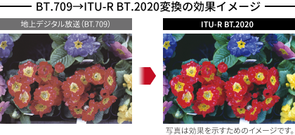 イメージ画像:BT.709→ITU BT.2020変換の効果イメージ
