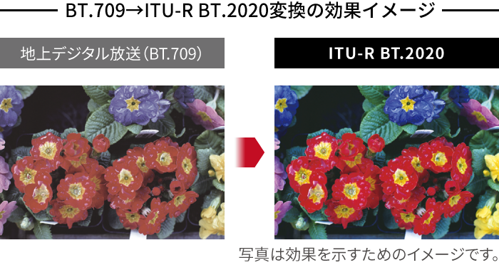 イメージ画像:BT.709→ITU BT.2020変換の効果イメージ