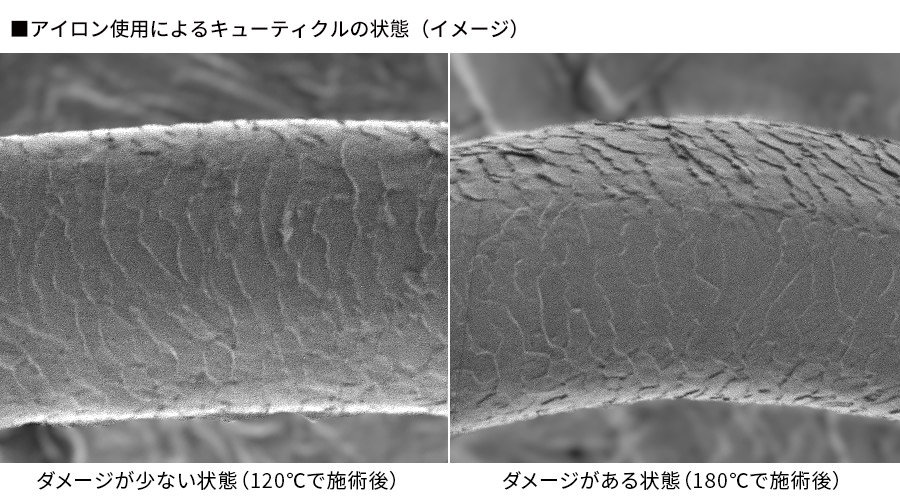 毛髪のキューティクル状態拡大図。ダメージが少ない状態（120℃で施術後）とダメージがある状態（180℃で施術後）