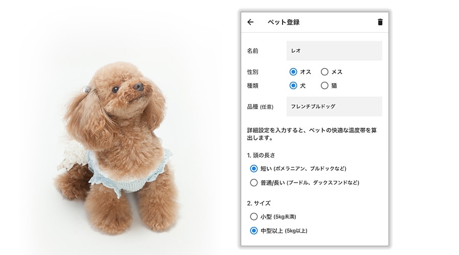アプリからペットの情報を登録しているイメージ