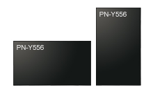 PN-Y556