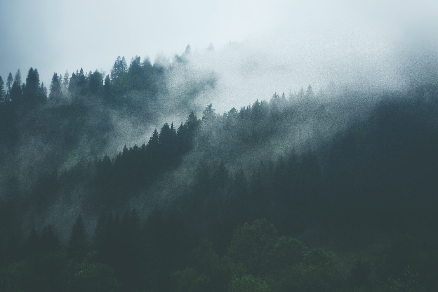 霧かかる山