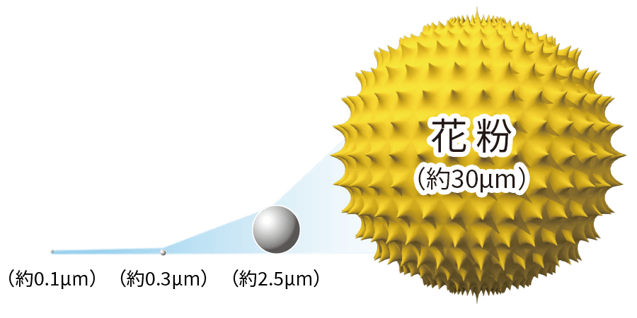 粒子の大きさイメージ、花粉は約30マイクロメートル。