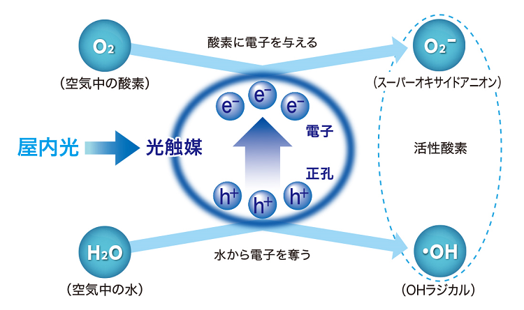 光触媒とは