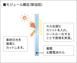 ■モジュール構造（断面図）