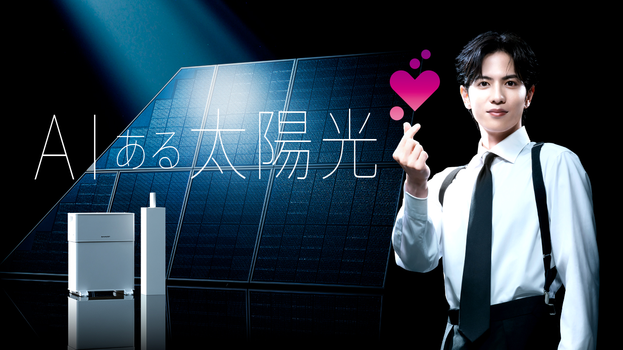 2025年夏 AIある太陽光