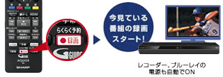 $SEIHINTOKU.alt