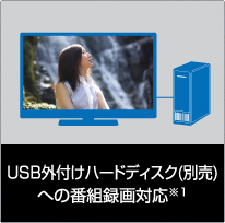 USB外付けハードディスク(別売)への番組録画対応※1