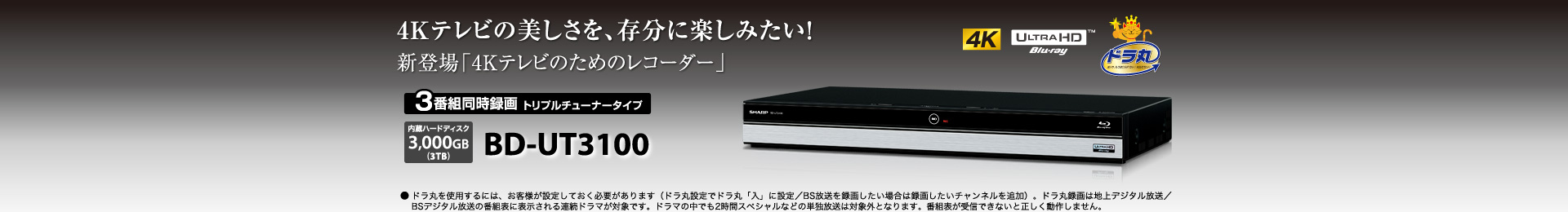 シャープ ブルーレイレコーダー 3TB 3チューナー BD-UT3100