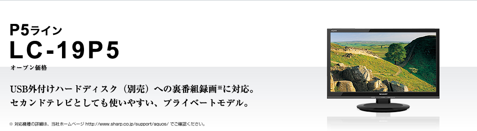 二人暮し【美品大幅値引き合計9100円引】SHARP AQUOS テレビ LC-19P5