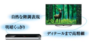 新AQUOS 純 モード:自然な階調表現/明暗くっきり/ディテールまで高精細