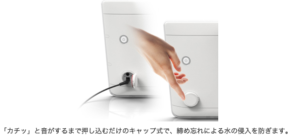 $SEIHINTOKU.alt