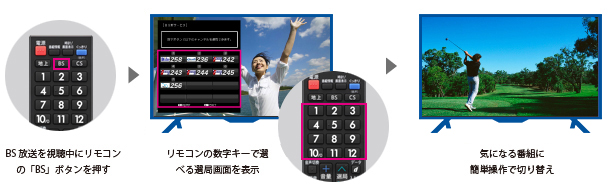 $SEIHINTOKU.alt