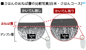ごはんのおねば層の比較写真