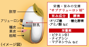 図:匠の洗米技