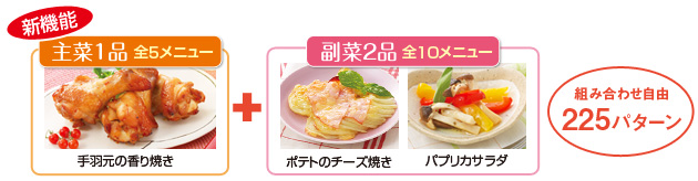 主菜1品(全5メニュー)+副菜2品(全10メニュー)/組み合わせ自由225パターン