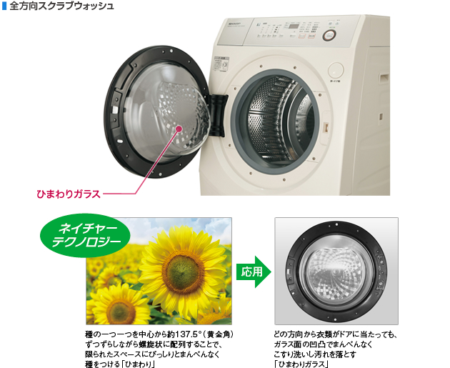 予約販売品 SHARP ドラム式洗濯機 ES-V540-NL 9kg 低騒音 M0368 i9tmg