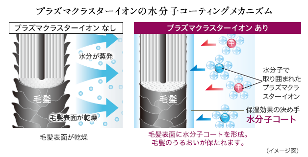 水分子コーティング