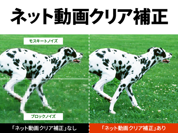 ネット動画クリア補正