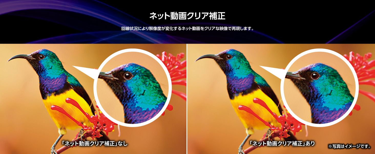 ネット動画クリア補正